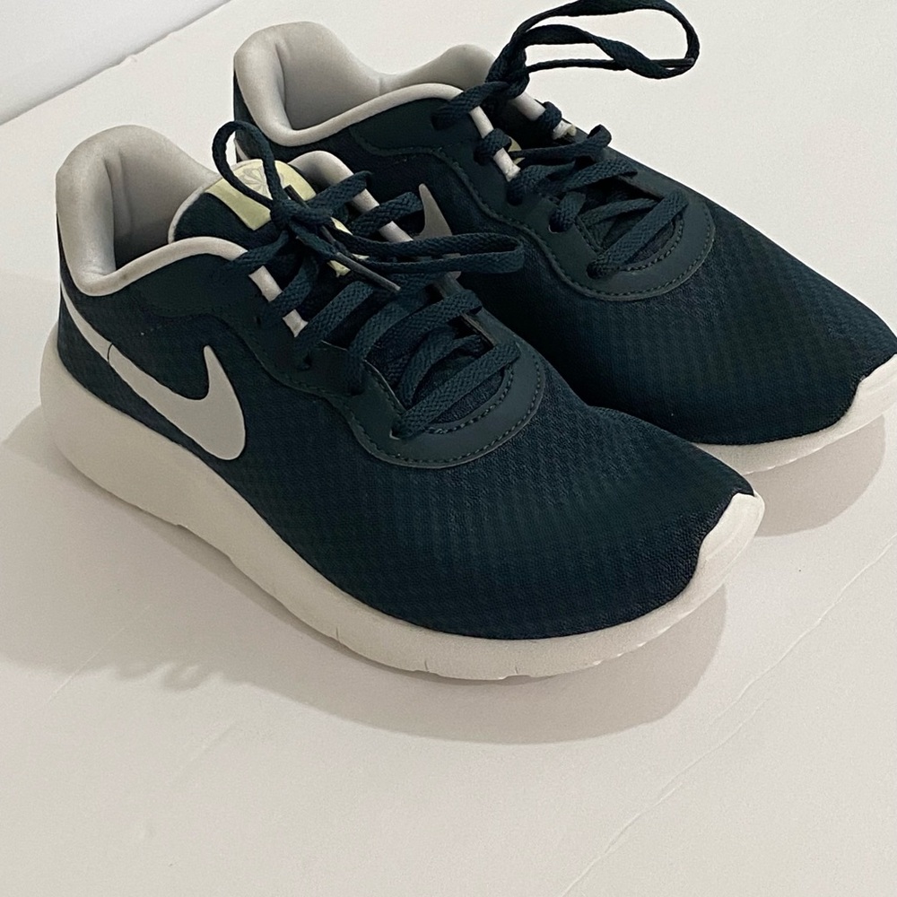 Boys big kids size 5y Nike Tanjun EasyOn